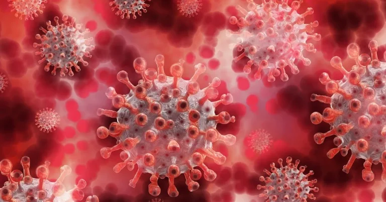 corona virus covid19